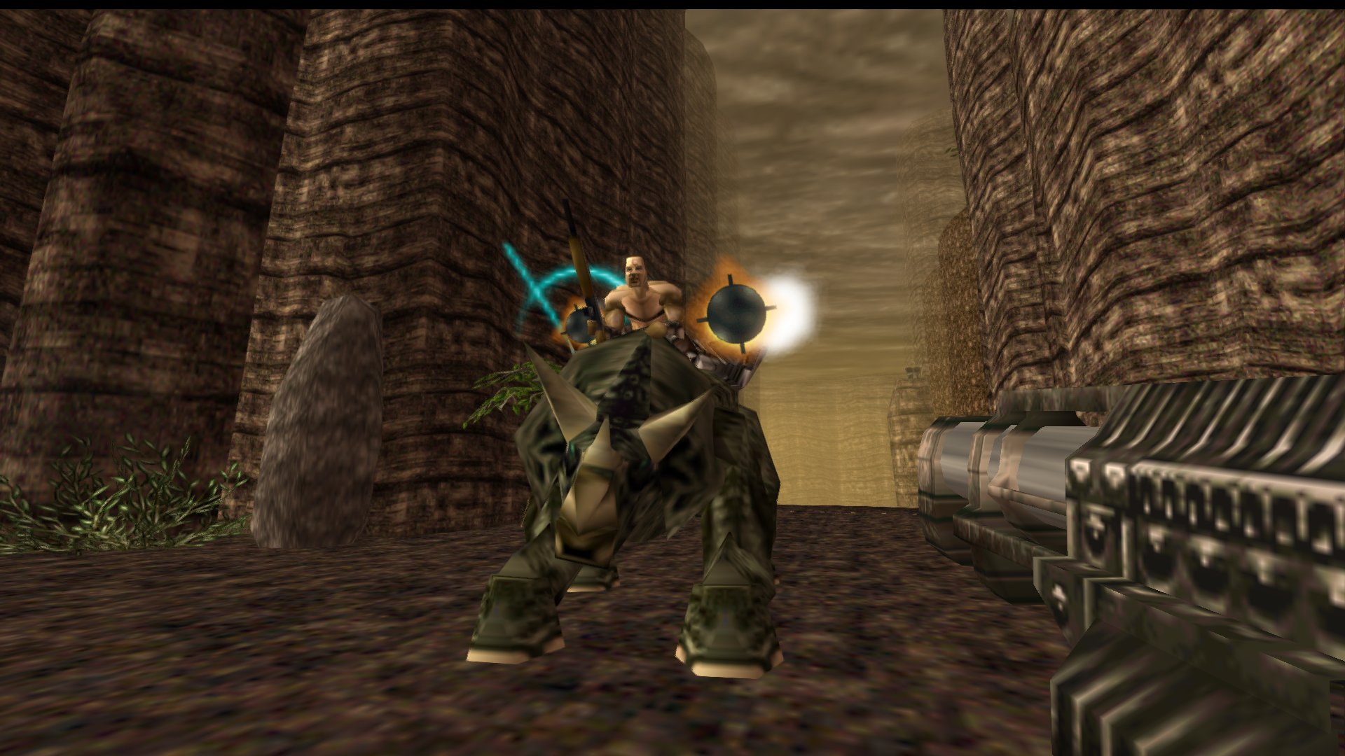 Turok (1990)