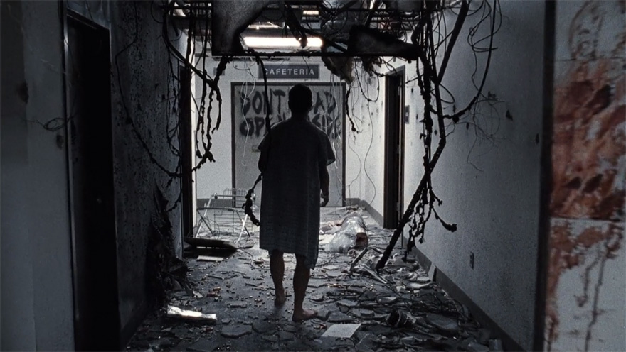 the-division-the-walking-dead