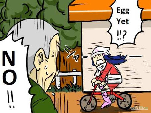 Pokèmon Breeding 1
