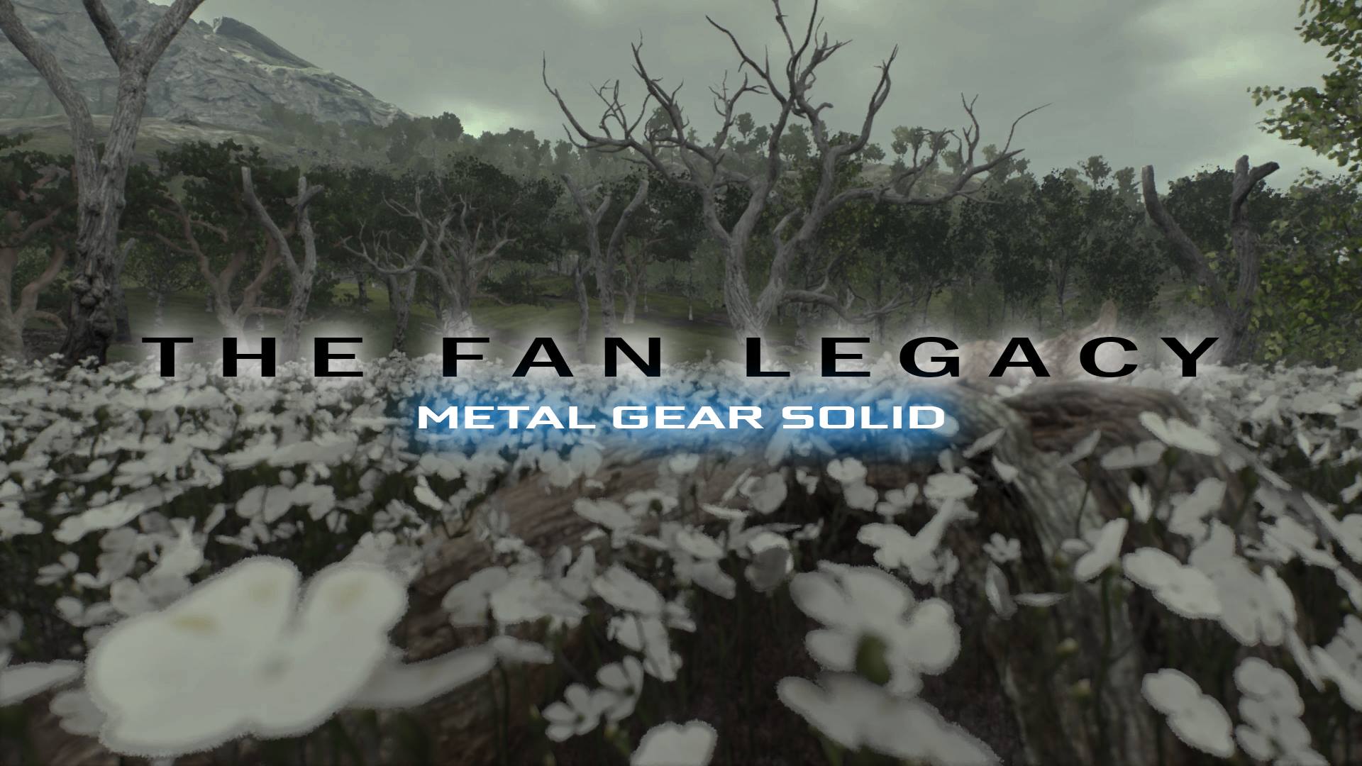fan-legacy-meta-gear-solid