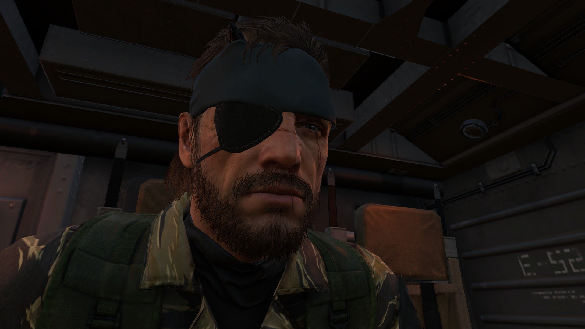 Metal Gear Solid
