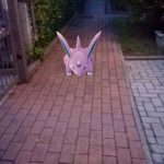 pokemon go screen6