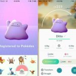 ditto-pokemon-go