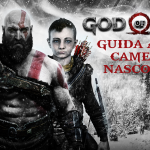 Camere Nascoste