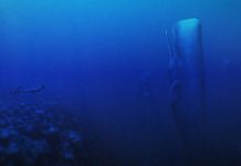 Recensione Beyond Blue, un viaggio nelle profondità oceaniche Beyond Blue intro